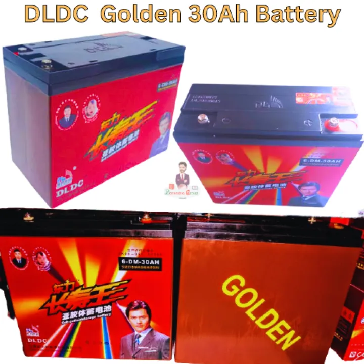 dldc-golden-30ah-battery-2